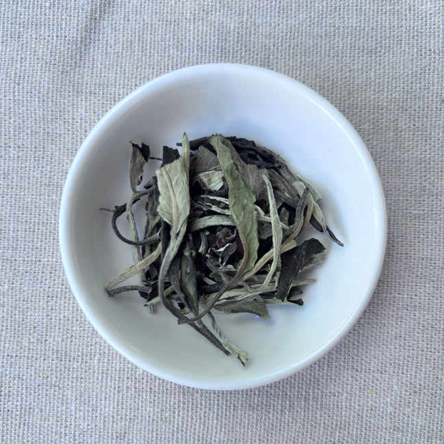 Silver Needle