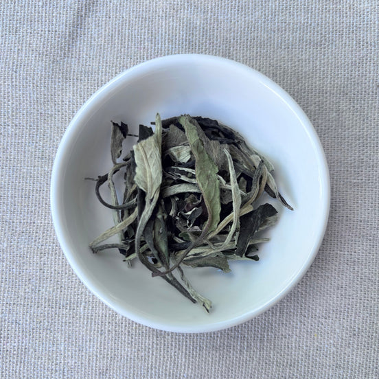 Silver Needle